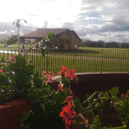 Agriturismo Oasi Del Pianettino Campagnatico Buitenkant foto
