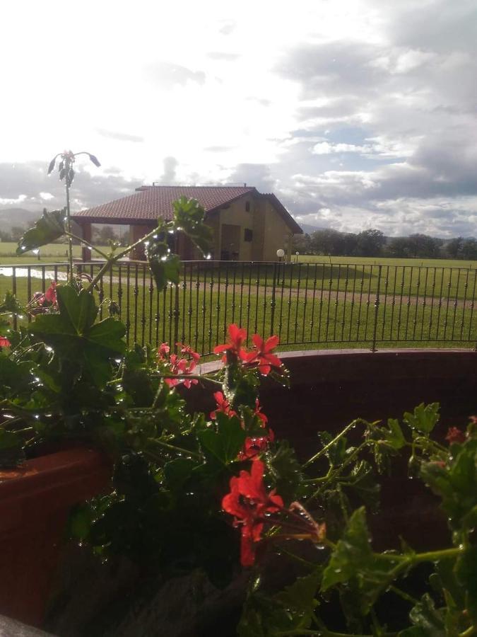 Agriturismo Oasi Del Pianettino Campagnatico Buitenkant foto