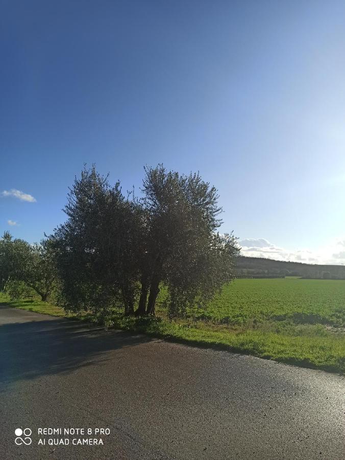 Agriturismo Oasi Del Pianettino Campagnatico Buitenkant foto